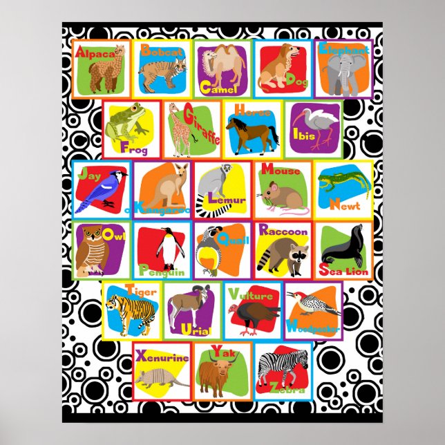 Affiche Alphabet animal (Devant)