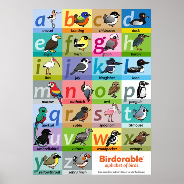 Affiche Alphabet Birdable des oiseaux (Devant)
