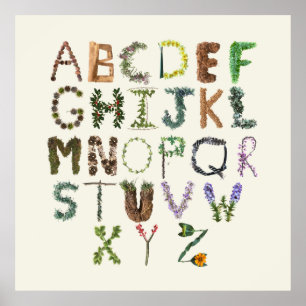 Affiche Alphabet botanique - ABC phonétique de la nature 