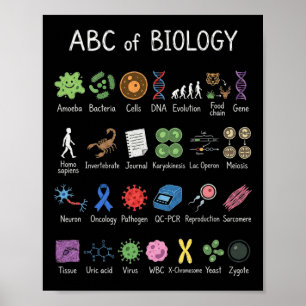 Affiche Alphabet de biologie Éducation scientifique Enseig