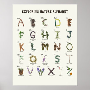 Affiche Alphabet de découverte de la nature Pépinière AB