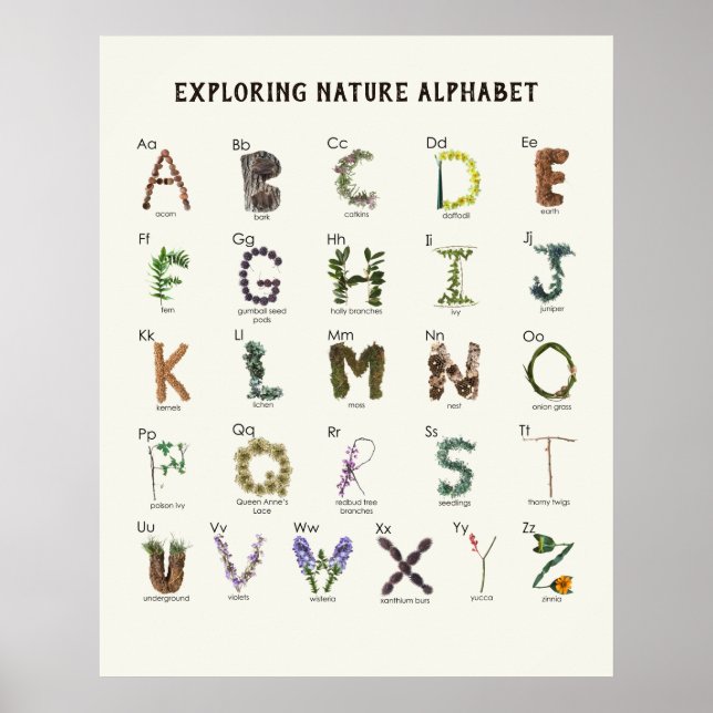 Affiche Alphabet de découverte de la nature | Pépinière AB (Devant)
