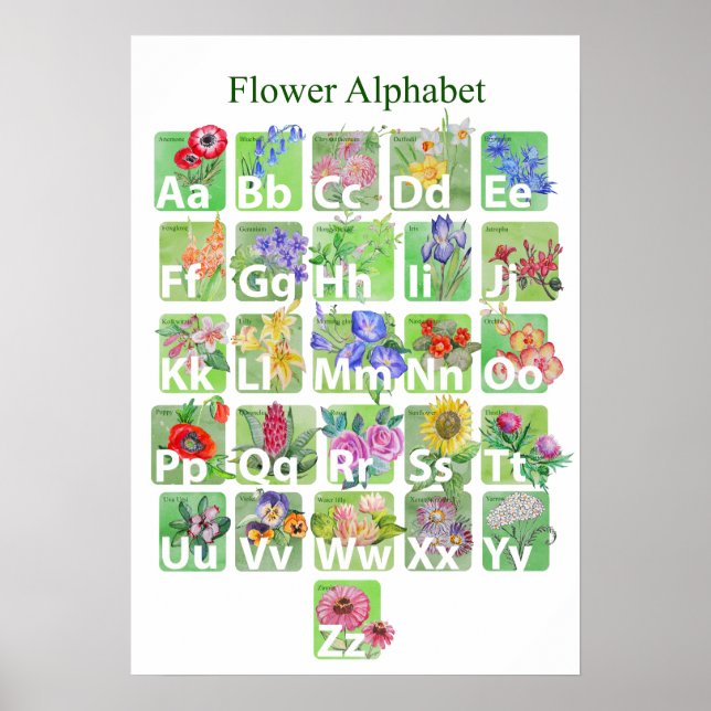 Affiche Alphabet de fleurs (Devant)
