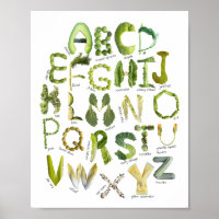 Alphabet des légumes - Mangez vos légumes verts Ki