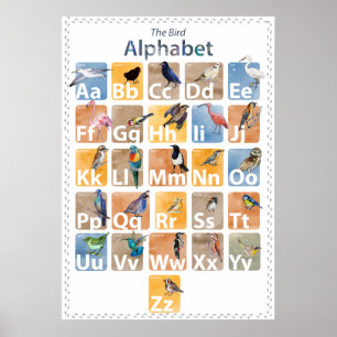 Affiche alphabet oiseaux