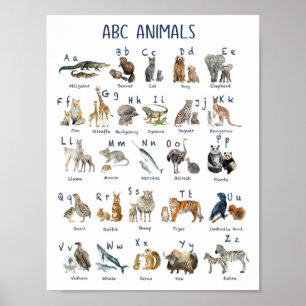 Affiche Alphabets animaux de retour à l'école