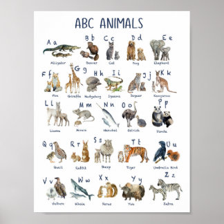 Affiche Alphabets animaux de retour à l'école