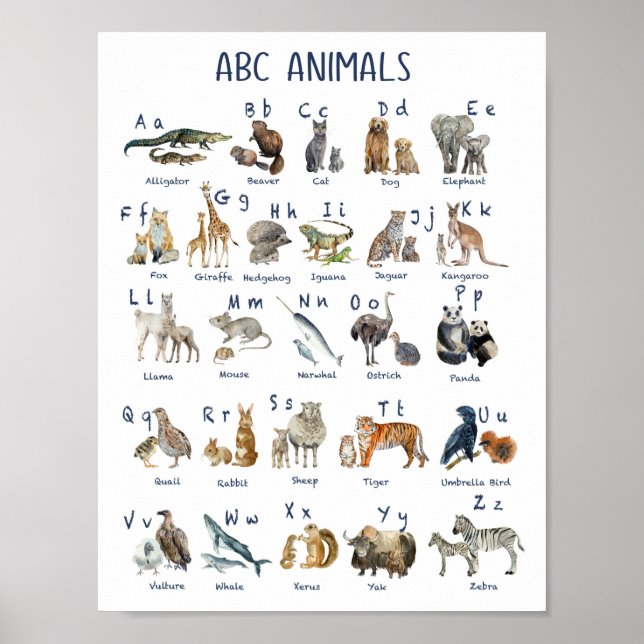 Affiche Alphabets animaux de retour à l'école (Devant)