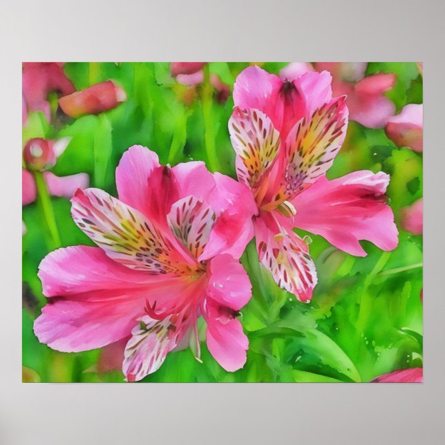 Affiche Alstroemeria rose Fleurs Lily Style Aquarelle (Devant)