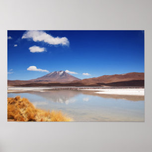 Affiche Altiplano landscape with volcano in Bolivia