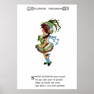 Affiche Alyssum doux