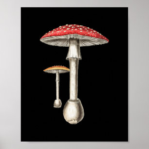 Affiche Amanita Muscaria Champignons Botanique Nature Fung