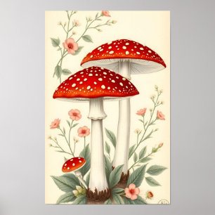 Affiche Amanite tue-mouches rouge et blanc Fleurs vintage