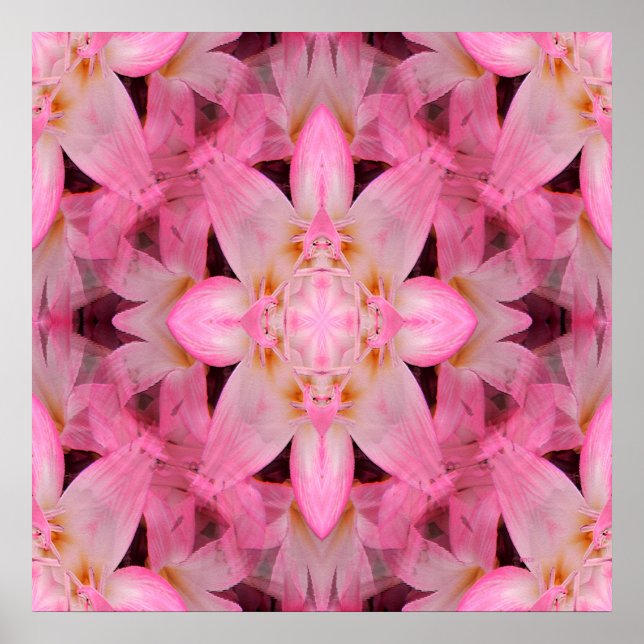 Affiche Amaryllis Love... (Devant)