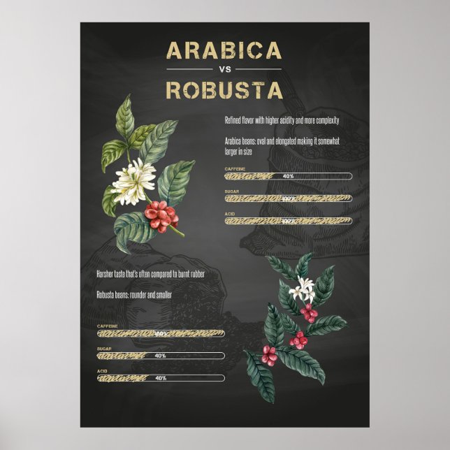 Affiche Amateur de café Café Arabica Robusta (Devant)