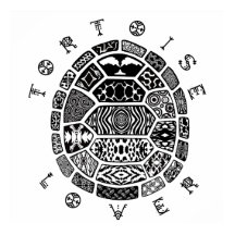 AMATEUR DE TORTUE 1