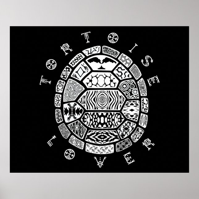 AFFICHE AMATEUR DE TORTUE 2 (Devant)