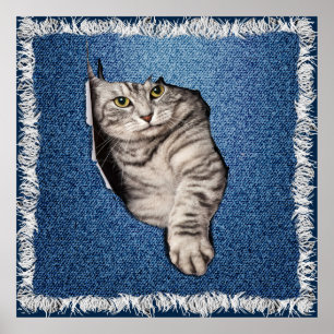 Affiche Amateurs de Housepets