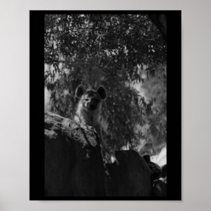 Affiche Amateurs de la nature Noir et Blanc Amateurs de Hy