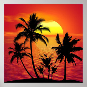 Affiche Amazing sunset with palms on tropical beach