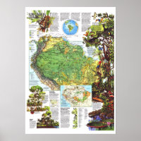 " Amazonie : 1992 Une ressource mondiale en péril