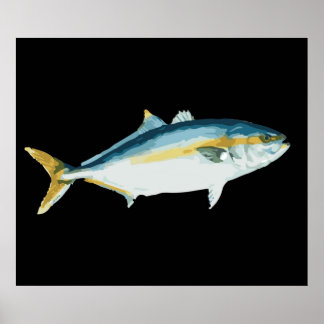 Affiche Amberjack japonais Hamachi Yellowtail