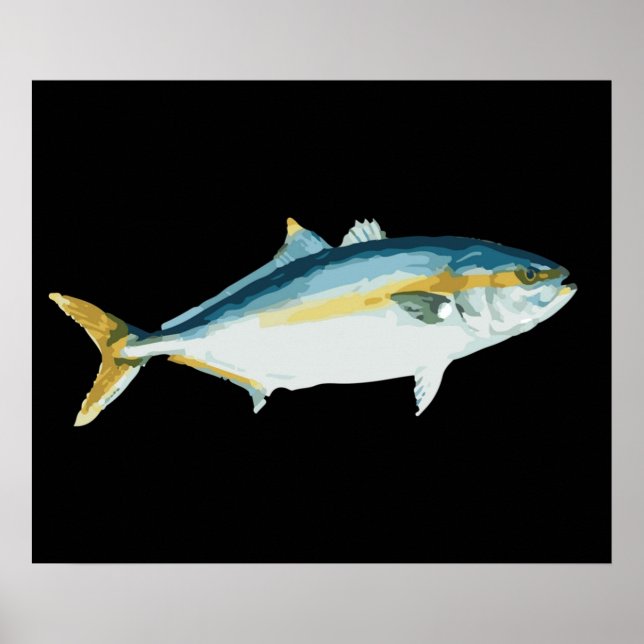 Affiche Amberjack japonais Hamachi Yellowtail (Devant)