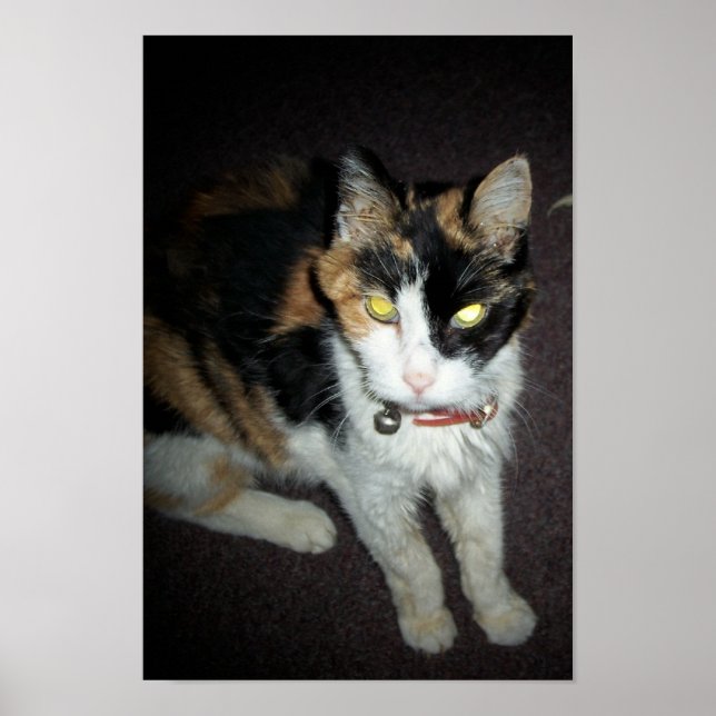 Affiche ambre (Devant)