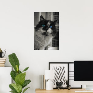 Affiche Âme d'Azur Yeux Bleus Chat Noir et Blanc Beaux-Art