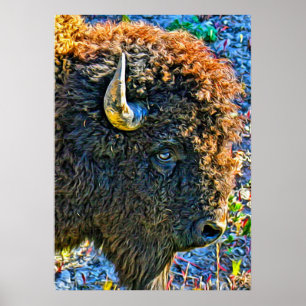 Affiche Âme de Buffalo