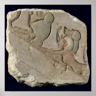 Affiche Amenophis IV avec des babouins, nouveau royaume
