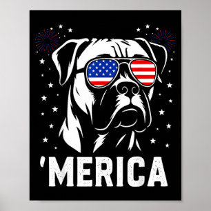 Affiche America Boxer Dog Drapeau Américain Célibataires P