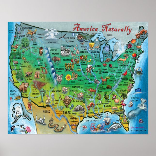 Affiche America Naturally Fun Map (Devant)