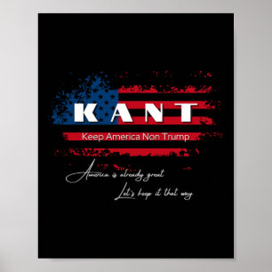 Affiche America Non Trump Funny Anti Trump 2024 Pro Democr