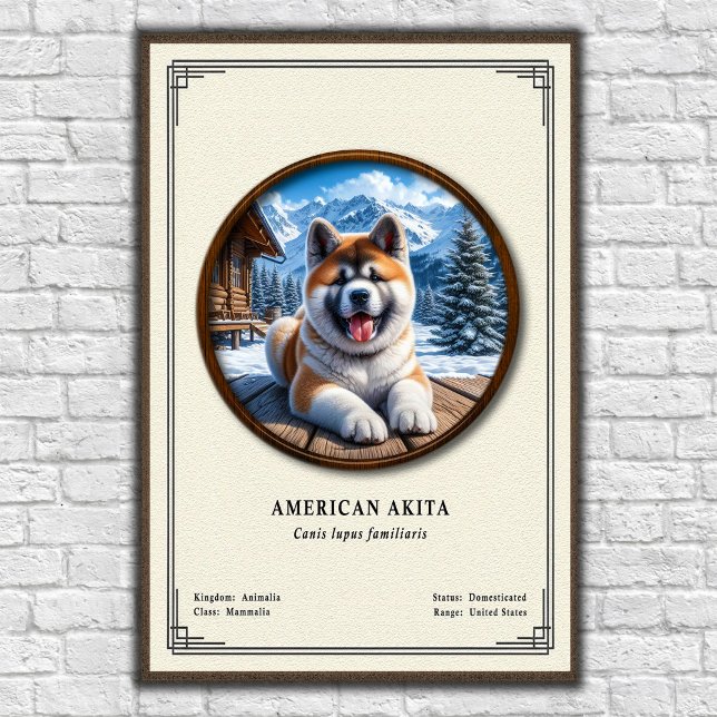 Affiche American Akita Zoology Series (Créateur téléchargé)