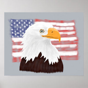 Affiche American Bald Eagle and Flag - transparent sur gri