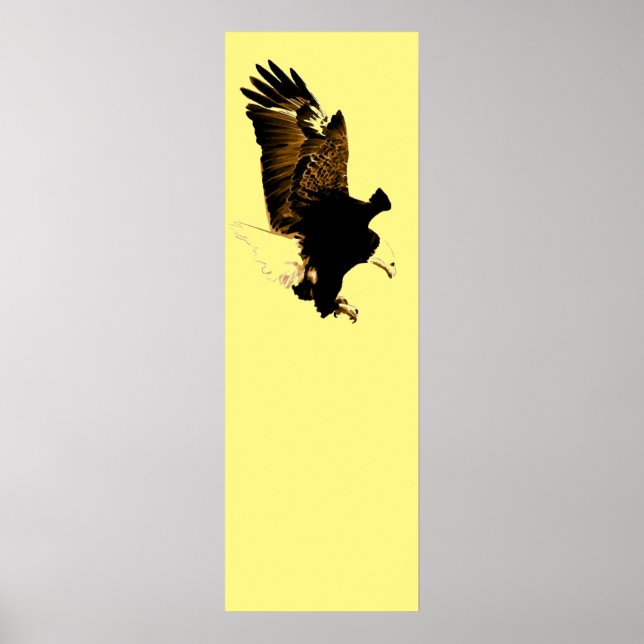 Affiche American Bald Eagle Landing (Devant)