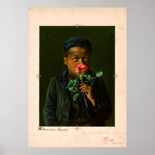 Affiche American Beauty (1895)