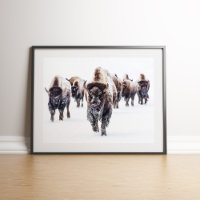 American Bison Herd'art de la muraille de neige