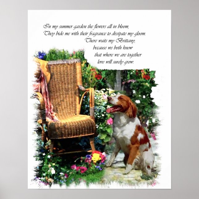 Affiche American Brittany Spaniel Art Imprimer (Devant)