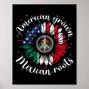 Affiche American Cultivé Mexicain Racines Cinco De Mayo Su