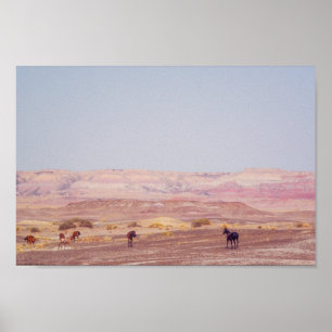 Affiche American Desert Horses P8670