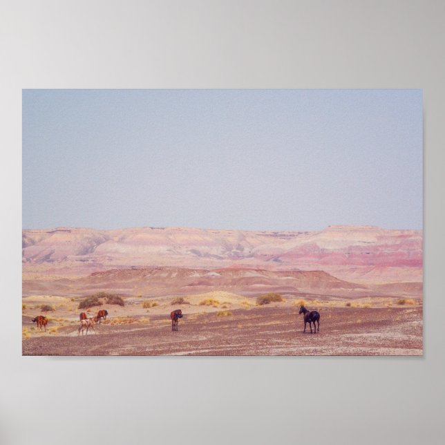 Affiche American Desert Horses P8670 (Devant)