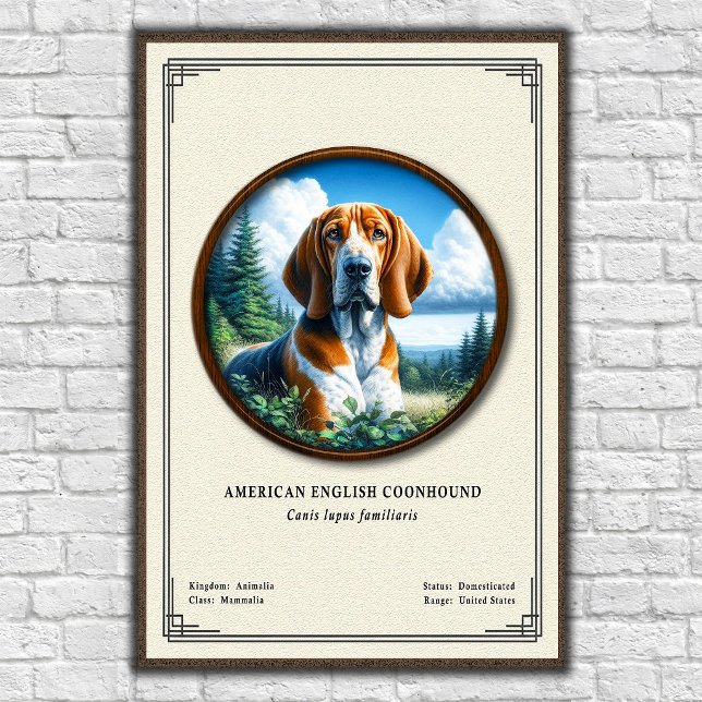 Affiche American English Coonhound Zoology Series (Créateur téléchargé)