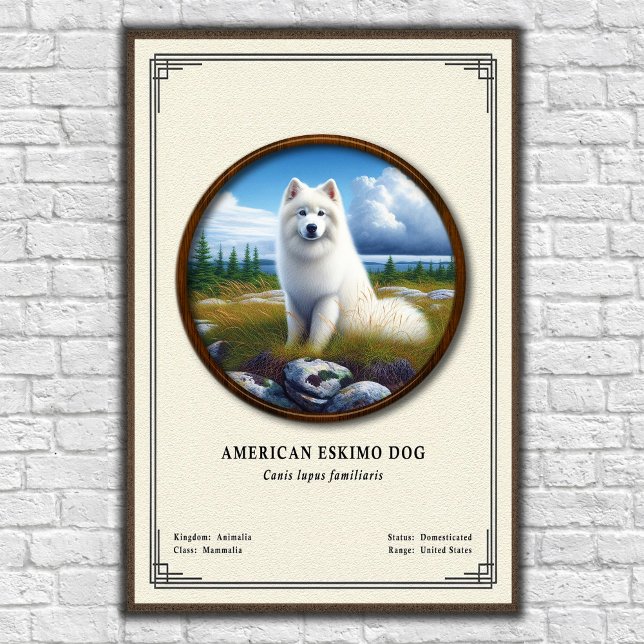 Affiche American Eskimo Dog Zoology Series (Créateur téléchargé)