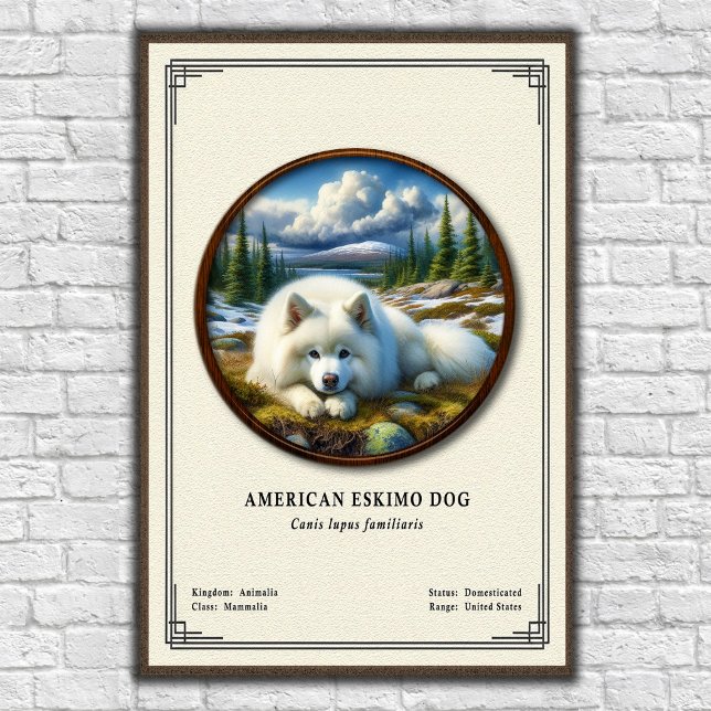 Affiche American Eskimo Dog Zoology Series (Créateur téléchargé)