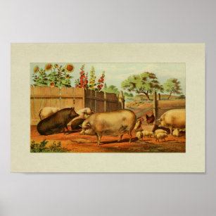 Affiche American Farmer Vintage Pigs à imprimer Poulets