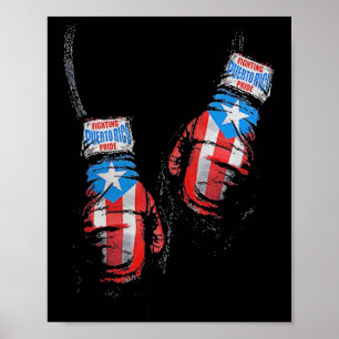 Affiche American Flag Boxing Usa Gants Salle De Sport Boxe