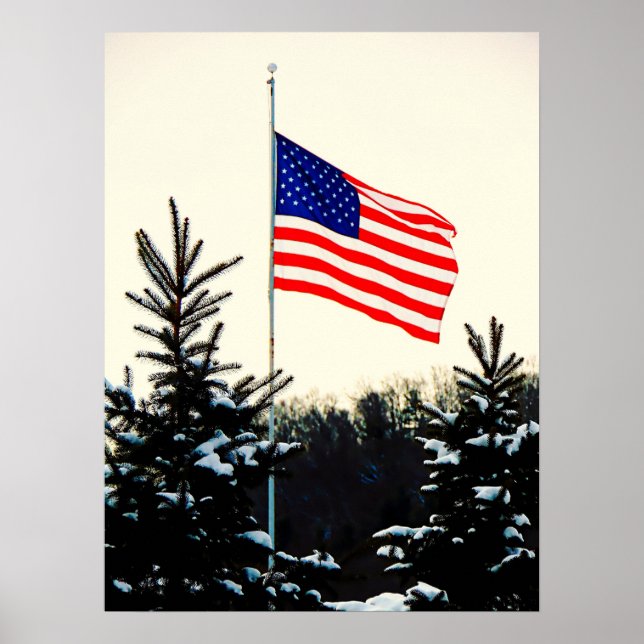 Affiche American Flag in Snow (Devant)