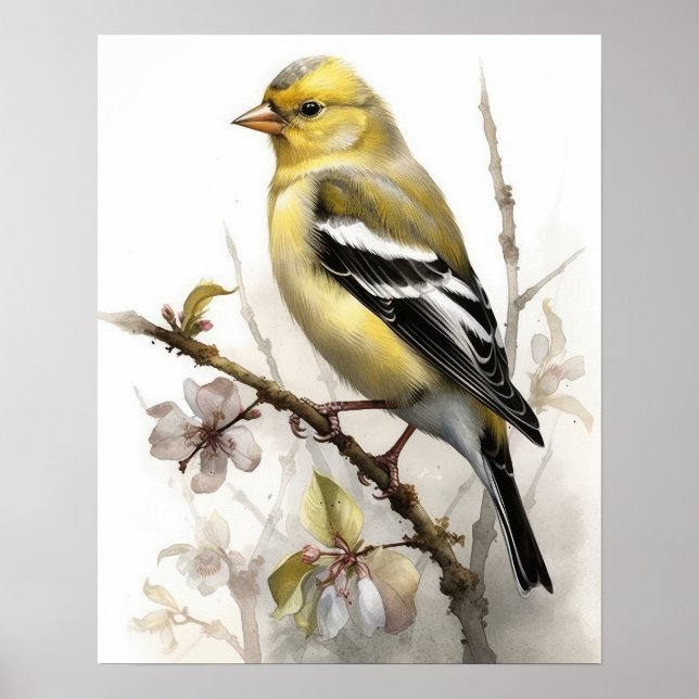 Affiche American Goldfinch Bird Art Imprimer l'affiche (Devant)